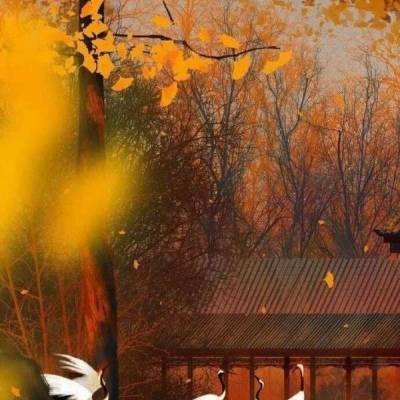 养不大手游官方版下载